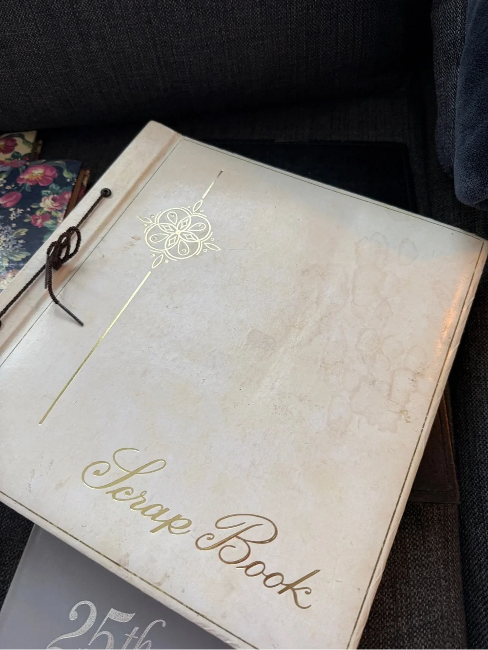 Lot of vintage photo books